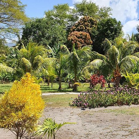 Rancho Tranquillo Vandrerhjem Moyogalpa Eksteriør bilde