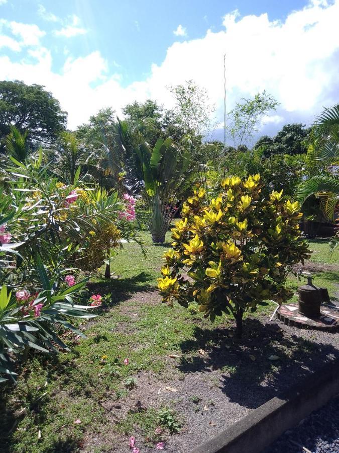 Rancho Tranquillo Vandrerhjem Moyogalpa Eksteriør bilde