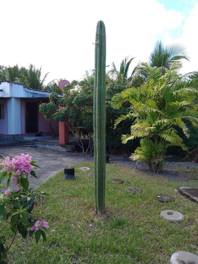 Rancho Tranquillo Vandrerhjem Moyogalpa Eksteriør bilde