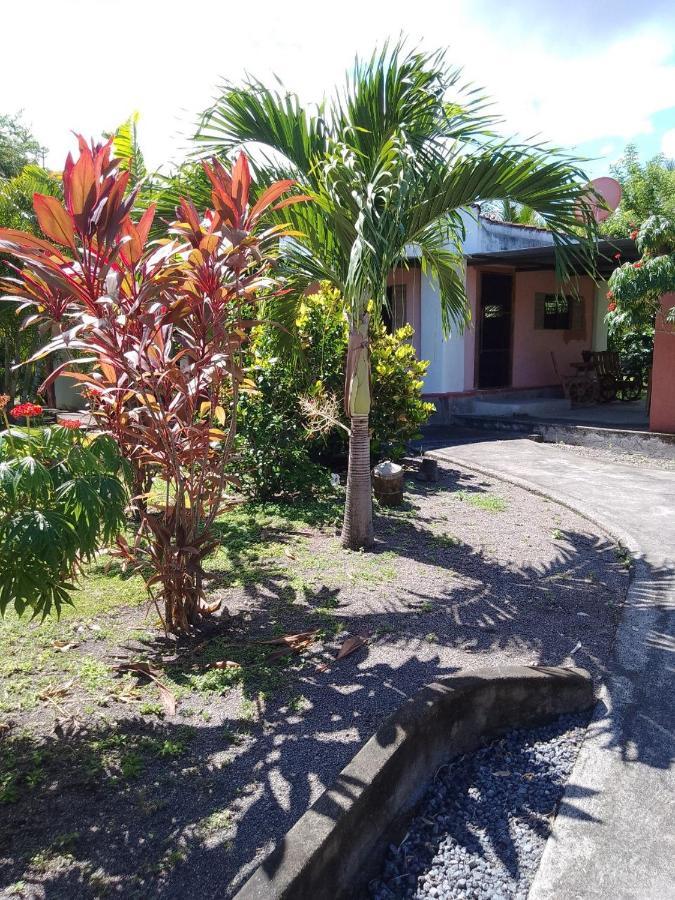 Rancho Tranquillo Vandrerhjem Moyogalpa Eksteriør bilde