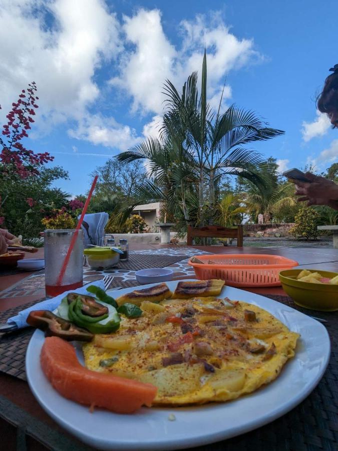 Rancho Tranquillo Vandrerhjem Moyogalpa Eksteriør bilde