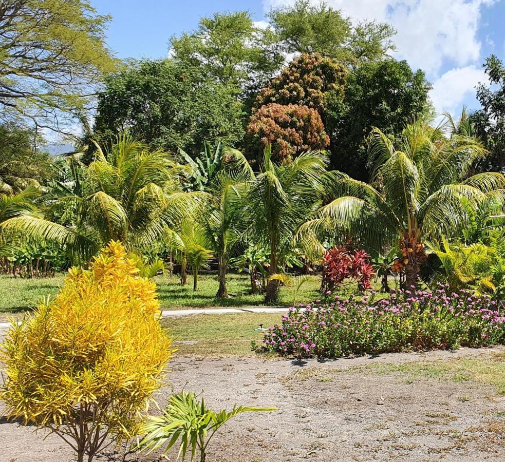 Rancho Tranquillo Vandrerhjem Moyogalpa Eksteriør bilde